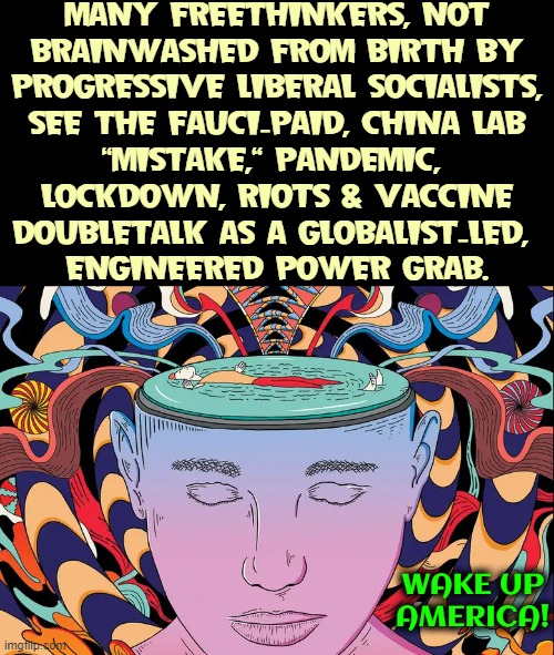 The Alarm has been Turned Off... and Times Running Out | MANY FREETHINKERS, NOT
BRAINWASHED FROM BIRTH BY
PROGRESSIVE LIBERAL SOCIALISTS,
SEE THE FAUCI-PAID, CHINA LAB
"MISTAKE," PANDEMIC, 
LOCKDOWN, RIOTS & VACCINE
DOUBLETALK AS A GLOBALIST-LED, 
ENGINEERED POWER GRAB. WAKE UP
AMERICA! | image tagged in vince vance,globalists,china virus,college liberal,memes,progressives | made w/ Imgflip meme maker