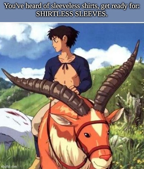 shritless sleeves | You've heard of sleeveless shirts, get ready for:
SHIRTLESS SLEEVES. | image tagged in shirtless sleeves,memes,anime,funny | made w/ Imgflip meme maker