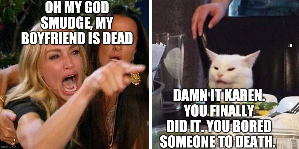 Smudge the cat | OH MY GOD SMUDGE, MY BOYFRIEND IS DEAD; J M; DAMN IT KAREN. YOU FINALLY DID IT. YOU BORED SOMEONE TO DEATH. | image tagged in smudge the cat | made w/ Imgflip meme maker