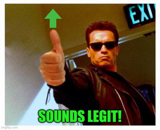 terminator thumbs up | SOUNDS LEGIT! | image tagged in terminator thumbs up | made w/ Imgflip meme maker