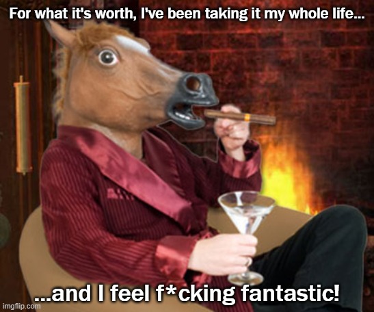 Horse head mask and now we wait | For what it's worth, I've been taking it my whole life... ...and I feel f*cking fantastic! | image tagged in horse head mask and now we wait | made w/ Imgflip meme maker
