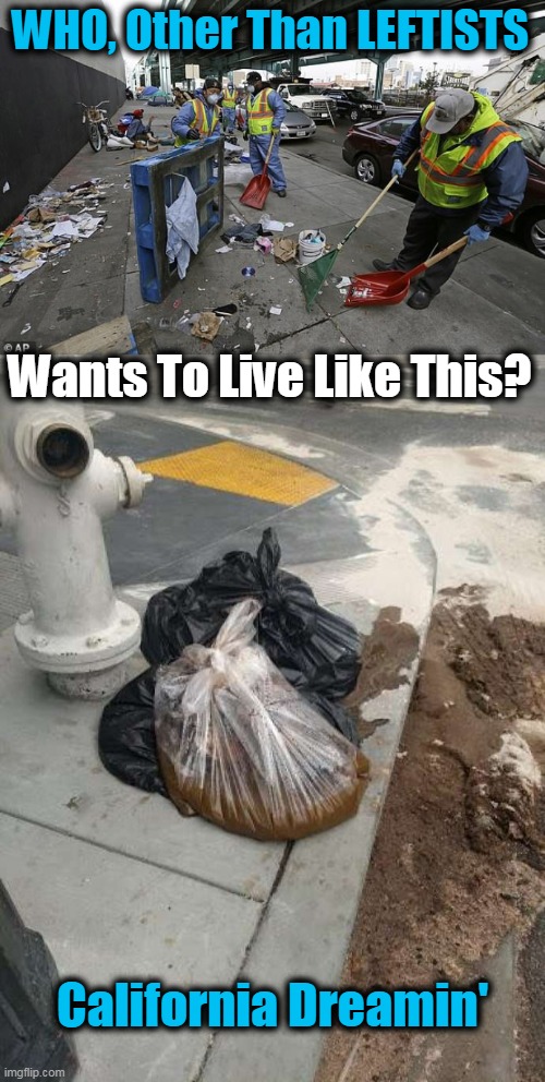 WHO, Other Than LEFTISTS Wants To Live Like This? California Dreamin' | made w/ Imgflip meme maker