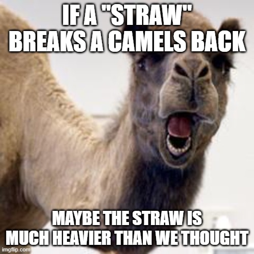 Camel | IF A "STRAW" BREAKS A CAMELS BACK; MAYBE THE STRAW IS MUCH HEAVIER THAN WE THOUGHT | image tagged in camel | made w/ Imgflip meme maker