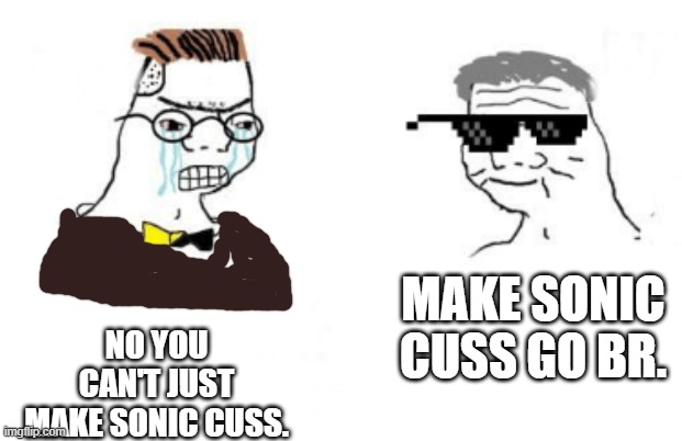 why did SEGA make sonic cuss? | NO YOU CAN'T JUST MAKE SONIC CUSS. MAKE SONIC CUSS GO BR. | image tagged in no you can't just,cussing,sonic,gaming | made w/ Imgflip meme maker