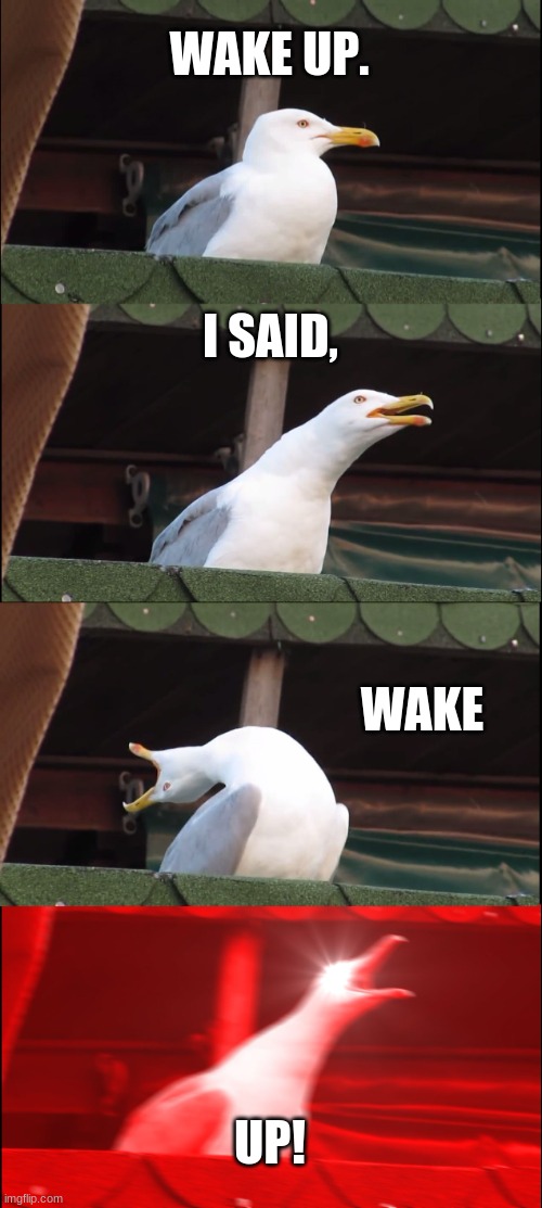 Inhaling Seagull | WAKE UP. I SAID, WAKE; UP! | image tagged in memes,inhaling seagull | made w/ Imgflip meme maker