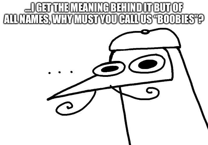 BlueFoot’s moment of silence | ...I GET THE MEANING BEHIND IT BUT OF ALL NAMES, WHY MUST YOU CALL US “BOOBIES”? | image tagged in bluefoot s moment of silence | made w/ Imgflip meme maker