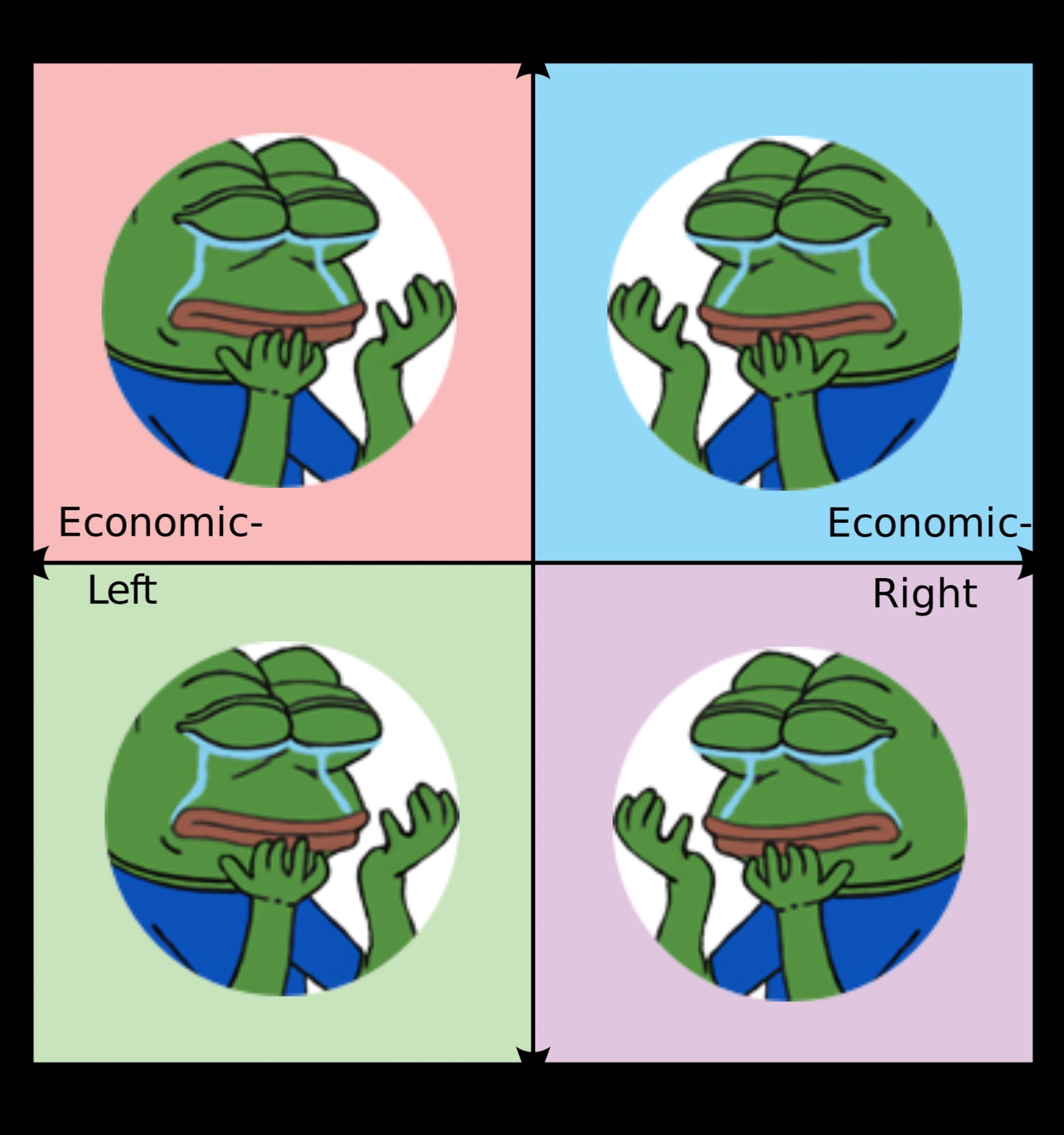 High Quality Pepe frog crying political compass Blank Meme Template