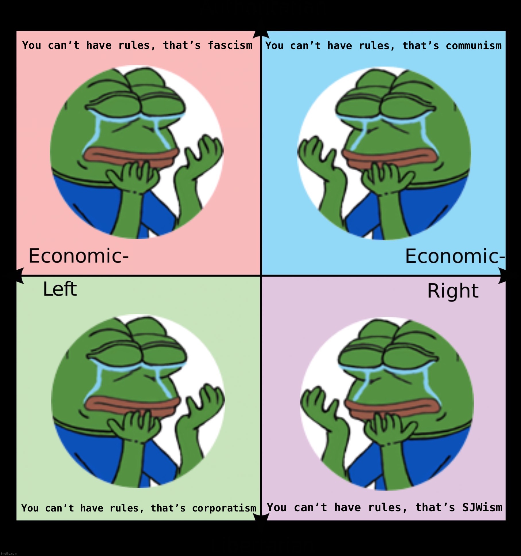 High Quality Pepe frog crying you can’t have rules Blank Meme Template