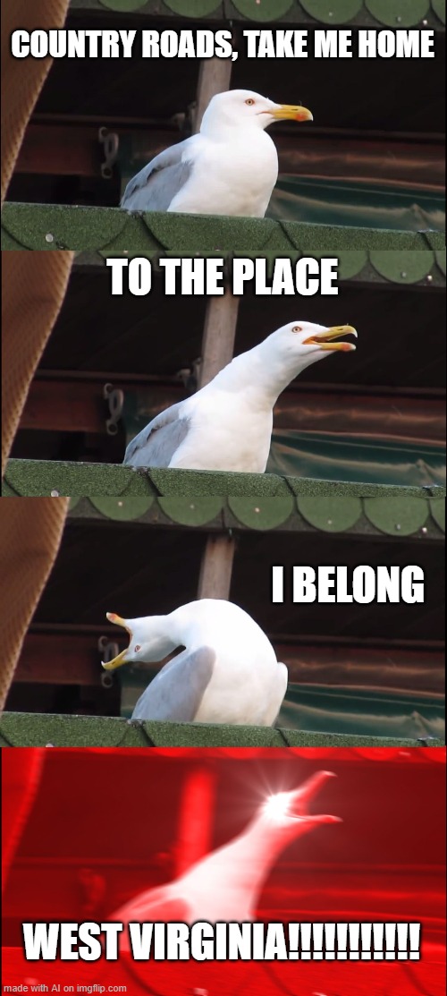 Inhaling Seagull | COUNTRY ROADS, TAKE ME HOME; TO THE PLACE; I BELONG; WEST VIRGINIA!!!!!!!!!!! | image tagged in memes,inhaling seagull | made w/ Imgflip meme maker