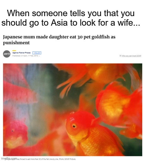  When someone tells you that you should go to Asia to look for a wife... | image tagged in memes,asian,goldfish,punishment,weird,japanese | made w/ Imgflip meme maker