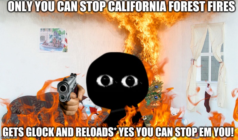 forestfire | ONLY YOU CAN STOP CALIFORNIA FOREST FIRES; GETS GLOCK AND RELOADS* YES YOU CAN STOP EM YOU! | image tagged in funny memes | made w/ Imgflip meme maker