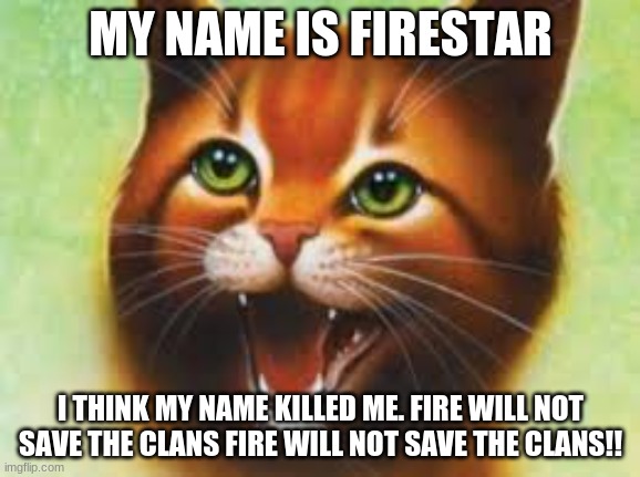 Warrior cats Firestar | MY NAME IS FIRESTAR; I THINK MY NAME KILLED ME. FIRE WILL NOT SAVE THE CLANS FIRE WILL NOT SAVE THE CLANS!! | image tagged in warrior cats firestar | made w/ Imgflip meme maker