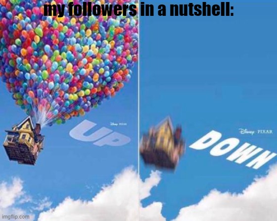 boys, it's finally happened to me. i mean, i'm mainly losing followers bc the majority of them are deleting. | my followers in a nutshell: | image tagged in up and down | made w/ Imgflip meme maker