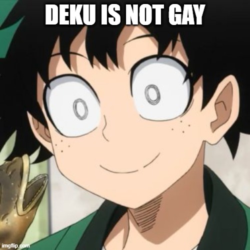 Triggered Deku | DEKU IS NOT GAY | image tagged in triggered deku | made w/ Imgflip meme maker