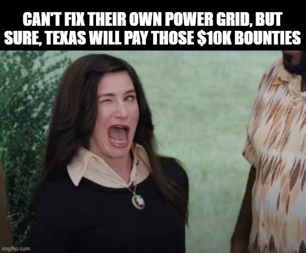Agatha wink | CAN'T FIX THEIR OWN POWER GRID, BUT SURE, TEXAS WILL PAY THOSE $10K BOUNTIES | image tagged in agatha wink | made w/ Imgflip meme maker