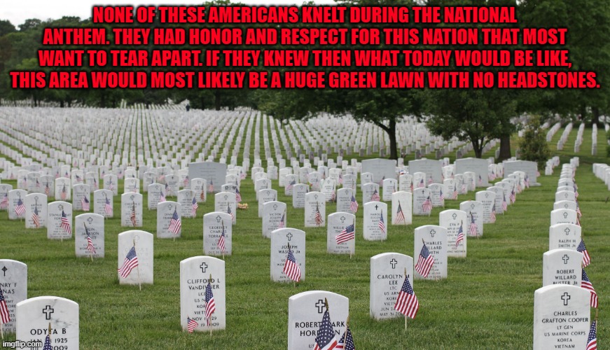 Cost of Freedom | NONE OF THESE AMERICANS KNELT DURING THE NATIONAL ANTHEM. THEY HAD HONOR AND RESPECT FOR THIS NATION THAT MOST WANT TO TEAR APART. IF THEY KNEW THEN WHAT TODAY WOULD BE LIKE, THIS AREA WOULD MOST LIKELY BE A HUGE GREEN LAWN WITH NO HEADSTONES. | image tagged in arlington,wars,us military,family,death,protest | made w/ Imgflip meme maker