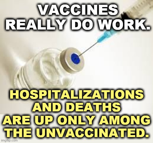 Anti vaxxers are morons, and often dead morons. | VACCINES REALLY DO WORK. HOSPITALIZATIONS AND DEATHS ARE UP ONLY AMONG THE UNVACCINATED. | image tagged in vaccine,good,anti vax,morons | made w/ Imgflip meme maker