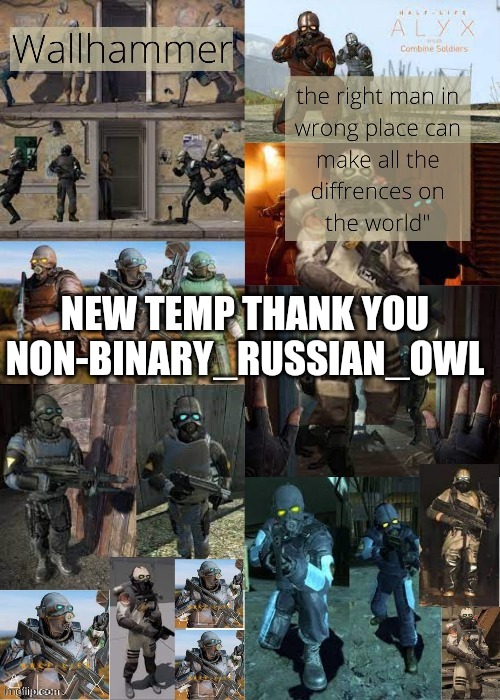 NEW TEMP THANK YOU NON-BINARY_RUSSIAN_OWL | image tagged in wallhammer | made w/ Imgflip meme maker