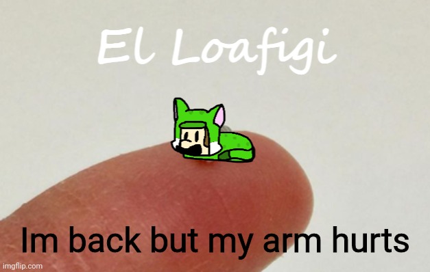 So whad i miss | Im back but my arm hurts | image tagged in el loafigi | made w/ Imgflip meme maker