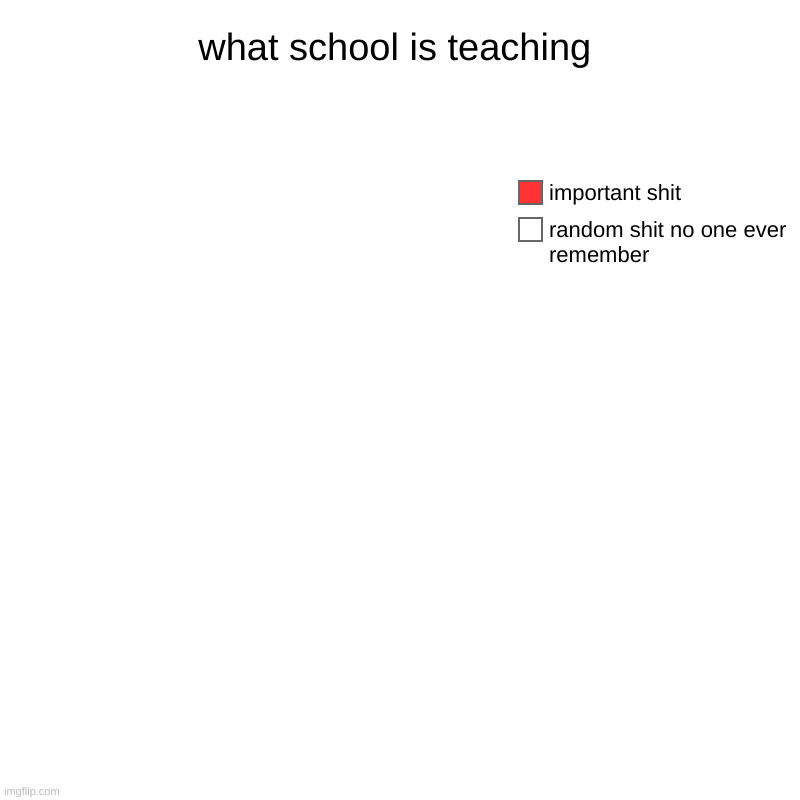 It really be like this. | what school is teaching | random shit no one ever remember , important shit | image tagged in charts,pie charts | made w/ Imgflip chart maker