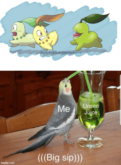 WHAT'S THAT?! | image tagged in unsee juice,my dissapointment is immeasurable and my day is ruined,chikorita,run,wth | made w/ Imgflip meme maker