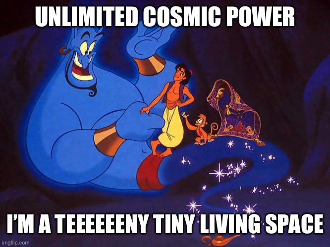 aladin | UNLIMITED COSMIC POWER I’M A TEEEEEENY TINY LIVING SPACE | image tagged in aladin | made w/ Imgflip meme maker