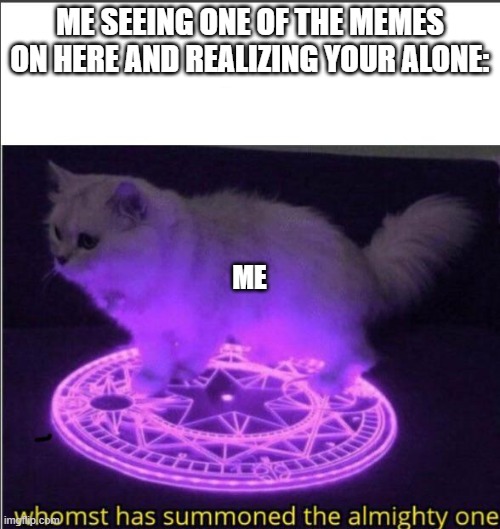 i'm here(mod note : you got mod Random) | ME SEEING ONE OF THE MEMES ON HERE AND REALIZING YOUR ALONE:; ME | image tagged in who has summoned the almighty one | made w/ Imgflip meme maker