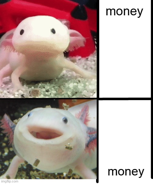 money | money; money | image tagged in annoyed axolotl,money,oh wow are you actually reading these tags | made w/ Imgflip meme maker