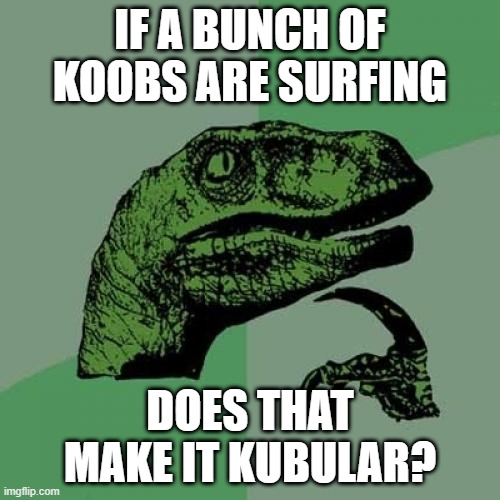 Galaxy's Edge Koobular | IF A BUNCH OF KOOBS ARE SURFING; DOES THAT MAKE IT KUBULAR? | image tagged in memes,philosoraptor | made w/ Imgflip meme maker