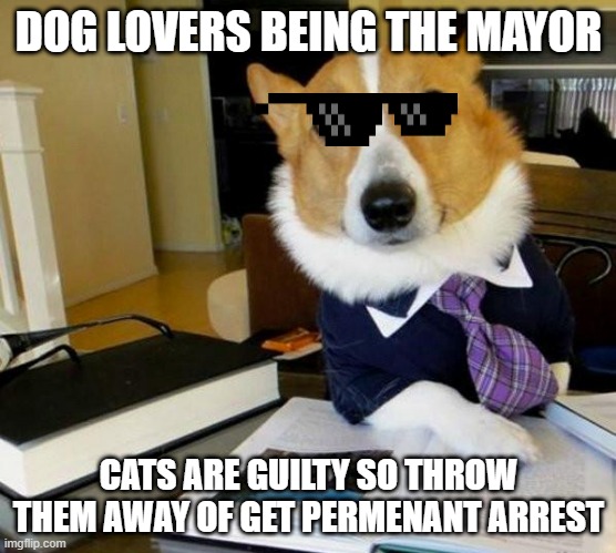 dont elect a dog lover mayor | DOG LOVERS BEING THE MAYOR; CATS ARE GUILTY SO THROW THEM AWAY OF GET PERMENANT ARREST | image tagged in lawyer corgi dog | made w/ Imgflip meme maker