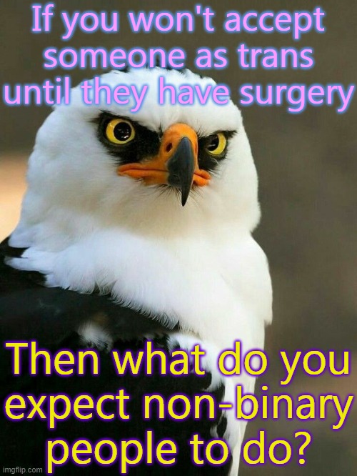 A question for transphobes. | If you won't accept someone as trans until they have surgery; Then what do you
expect non-binary people to do? | image tagged in really,contradiction,logical fallacy referee | made w/ Imgflip meme maker