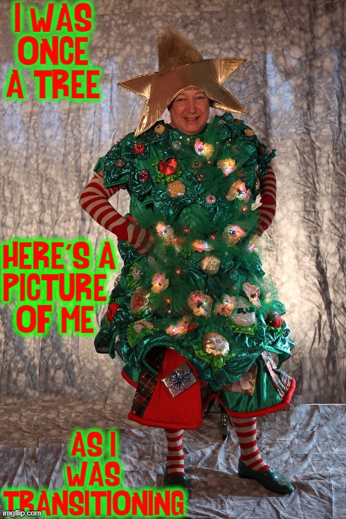 Transitioning: Some People Get It. Obviously, I don't. |  I WAS
ONCE
A TREE; HERE'S A
PICTURE 
OF ME; AS I WAS
TRANSITIONING | image tagged in vince vance,transitioning,tranny,transgender,memes,christmas tree | made w/ Imgflip meme maker