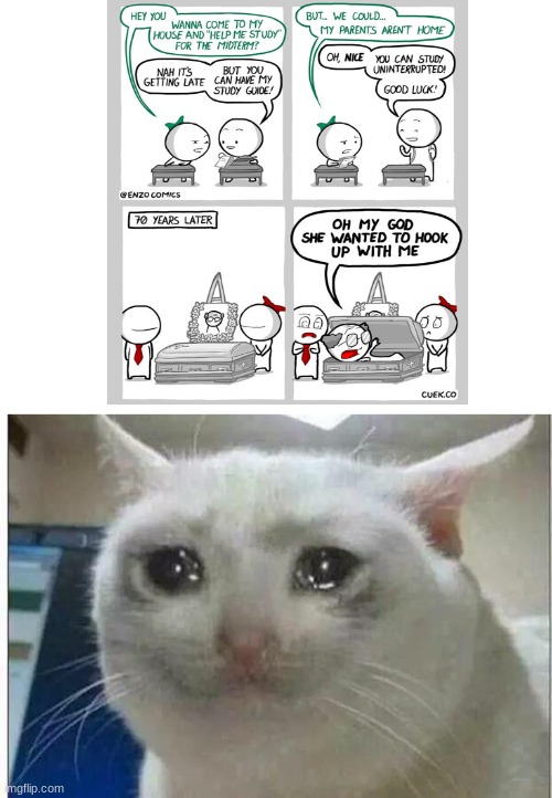 O O F | image tagged in crying cat,sad,oof | made w/ Imgflip meme maker