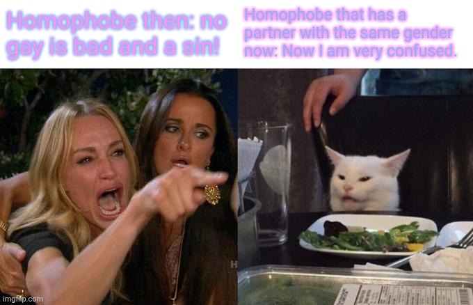 乁( •_• )ㄏ | Homophobe then: no gay is bad and a sin! Homophobe that has a partner with the same gender now: Now I am very confused. | image tagged in memes,woman yelling at cat | made w/ Imgflip meme maker