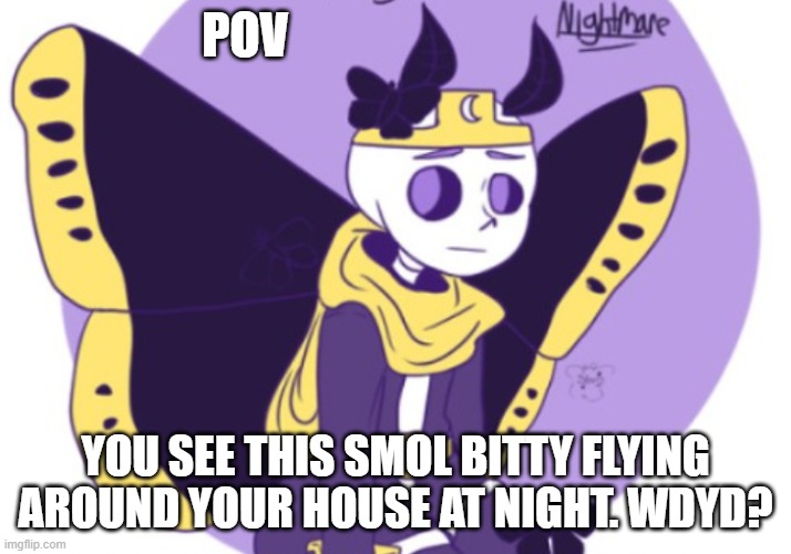 NightMoth | POV; YOU SEE THIS SMOL BITTY FLYING AROUND YOUR HOUSE AT NIGHT. WDYD? | made w/ Imgflip meme maker