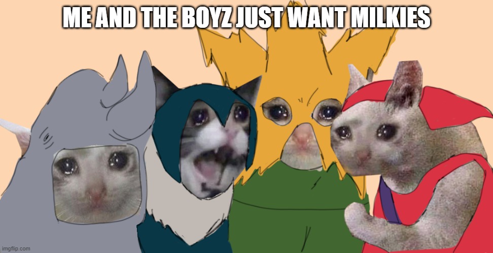Poor Cats | ME AND THE BOYZ JUST WANT MILKIES | image tagged in me and the boys | made w/ Imgflip meme maker