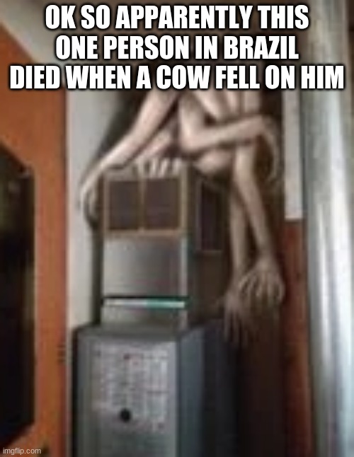 who knew your mother lived in brazil | OK SO APPARENTLY THIS ONE PERSON IN BRAZIL DIED WHEN A COW FELL ON HIM | image tagged in clump | made w/ Imgflip meme maker