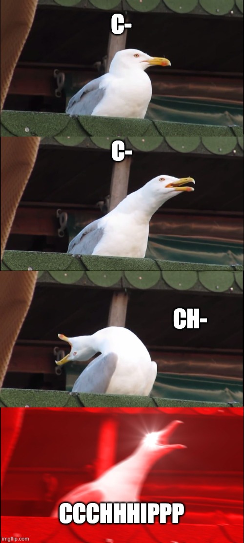 Chip | C-; C-; CH-; CCCHHHIPPP | image tagged in memes,inhaling seagull | made w/ Imgflip meme maker