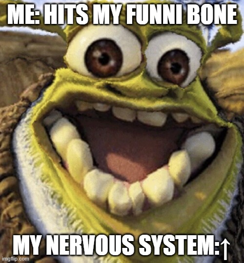 AAAAAAAAAAAAAAAAAAAAAAAAAAAAAAAAAAAAAAAAAAAAAAAAAAAAAAAAAAAAAAAAAAAAAAAAAAAAAAAAAAAAAAAAAAAAAAAAAAAAAAAAAAAAAAAAAAAAAAAAAAAAAAAA | ME: HITS MY FUNNI BONE; MY NERVOUS SYSTEM:↑ | image tagged in shrek | made w/ Imgflip meme maker