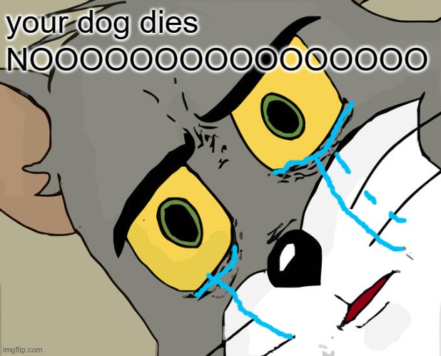 Unsettled Tom | your dog dies; NOOOOOOOOOOOOOOOO | image tagged in memes,unsettled tom | made w/ Imgflip meme maker