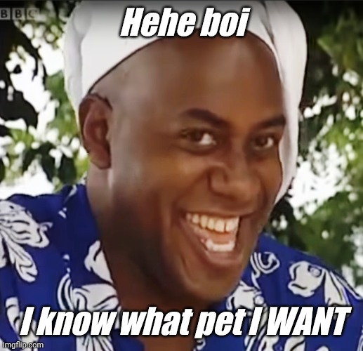 Hehe Boi | Hehe boi I know what pet I WANT | image tagged in hehe boi | made w/ Imgflip meme maker