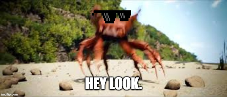 crab rave | HEY LOOK. | image tagged in crab rave | made w/ Imgflip meme maker