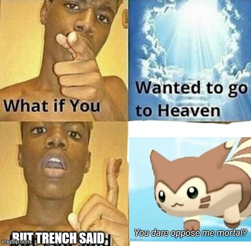 What if you wanted to go to Heaven | BUT TRENCH SAID | image tagged in what if you wanted to go to heaven | made w/ Imgflip meme maker