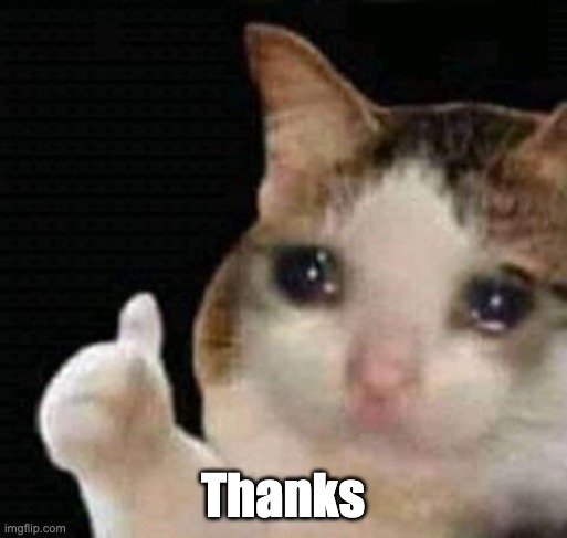 sad thumbs up cat | Thanks | image tagged in sad thumbs up cat | made w/ Imgflip meme maker
