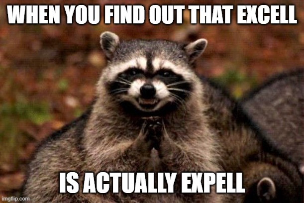 wow (LOL) | WHEN YOU FIND OUT THAT EXCELL; IS ACTUALLY EXPELL | image tagged in evil raccoon blank | made w/ Imgflip meme maker