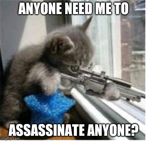 Im A hitman | ANYONE NEED ME TO; ASSASSINATE ANYONE? | image tagged in hitman lolcat | made w/ Imgflip meme maker