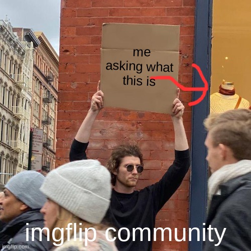? | me asking what this is; imgflip community | image tagged in memes,guy holding cardboard sign | made w/ Imgflip meme maker