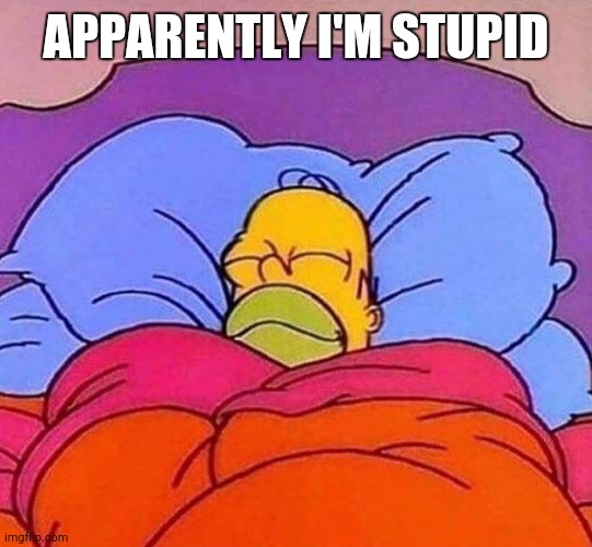 Homer Simpson sleeping peacefully | APPARENTLY I'M STUPID | image tagged in homer simpson sleeping peacefully | made w/ Imgflip meme maker