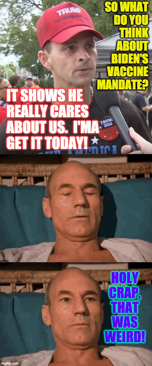 When I eat dinner too late. | SO WHAT
DO YOU
THINK
ABOUT BIDEN'S VACCINE MANDATE? IT SHOWS HE
REALLY CARES
ABOUT US.  I'MA
GET IT TODAY! HOLY CRAP, THAT WAS WEIRD! | image tagged in trump supporter,memes,picard,vaccine mandate | made w/ Imgflip meme maker