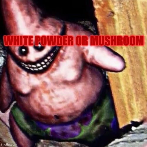 Patrick | WHITE POWDER OR MUSHROOM | image tagged in patrick | made w/ Imgflip meme maker